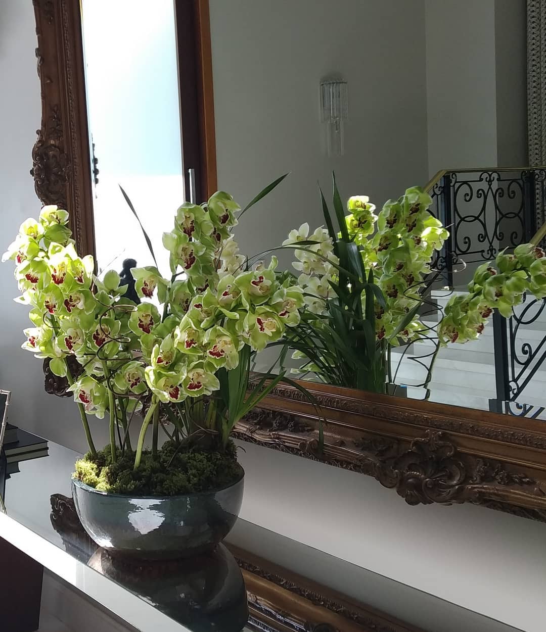 Orquídeas verdes em vaso elegante